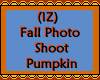 Fall Photo Shoot Pumpkin