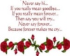 T31 ~ Never Say...