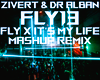 FLY X IT'S MY LIFE REMIX