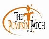 Pumpkin Decor