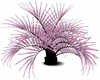 Pink/Blk Palm Tree