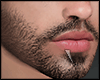 s. Beard Asteri N32