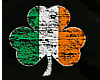 (I&S) irish flag tee