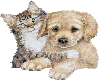 animated pup and kitten