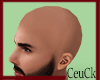 ₢ Bald  No hair