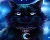 Lunar Cat