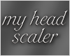 my head scaler