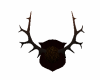 [CI] Antlers mounted V2