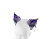 lunar kitten