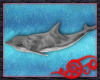 *Jo* Animated Dolphin