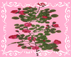 [MsB]Redpink rosebush