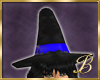 BlueBerryWitchHat