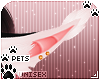 [Pets] Cass | ears v2