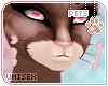 [Pets]Dexi | whiskers v1