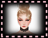 (OM)Jasmine Snow Sweet