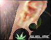 S' SWED II