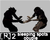 2 Sleeping Spots Couple