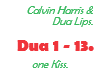 Calvin Harris / Dua Lips