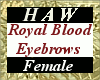 Royal Blood Eyebrows - F
