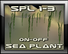 Sea Plant Seaweed DJ