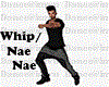 Whip/NaeNae Dance