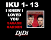 I Knew I Loved U-SavageG