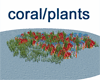 OCEAN CORAL/PLANTS/SAND