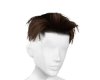 Dion BRW