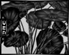 [Czz] Black Bouquet