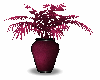 red plant with vase