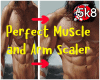 Muscle Chest  Arm Scaler