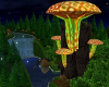 A~ Mushroom