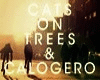 Cats On Trees & Calogero
