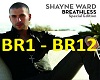 S~ShayneWard-Breathless