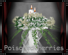 (PC) M.V. FloralStand V2