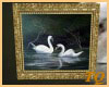 ~TQ~lightening swans