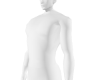 MUSCULAR BODY HD