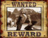 Wanted Poster Dave