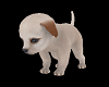 K:Puppy Pet Animated