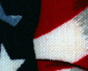American flag~glitter