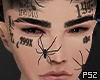 Spiders