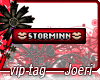 j| Storminn