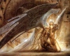 Love Angels
