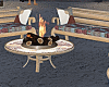 Fire Place Poses