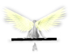 Lonely Angel