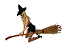 Halloween Witch's Broom