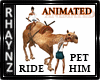 Zoo Camel - Animated