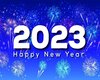 2023 Happy New Year Dome