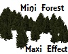 Mini Forest Maxi Effect