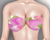 D paloma set